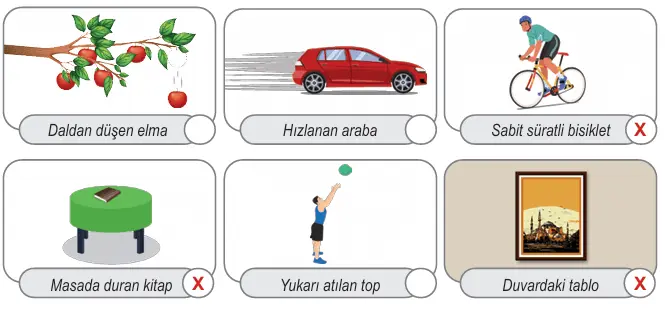 6. Sınıf Fen Bilimleri Ders Kitabı 52-53-55-56-58-59-60-61. Sayfa Cevapları 1. KİTAP 6. Sınıf Fen Bilimleri Ders Kitabı Sayfa 61 Cevapları MEB Yayınları4