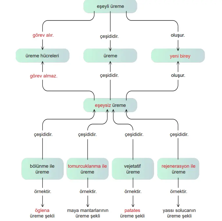 6. Sınıf Fen Bilimleri Ders Kitabı Sayfa 86 Cevapları MEB Yayınları