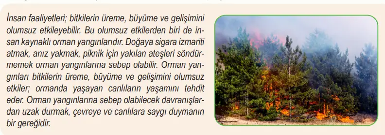 6. Sınıf Fen Bilimleri Ders Kitabı 87-88-90-91-92-93. Sayfa Cevapları 1. KİTAP 6. Sınıf Fen Bilimleri Ders Kitabı Sayfa 92 Cevapları MEB Yayınları