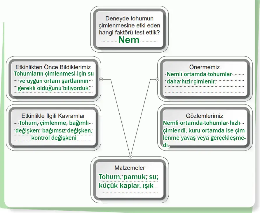 6. Sınıf Fen Bilimleri Ders Kitabı Sayfa 96 Cevapları MEB Yayınları