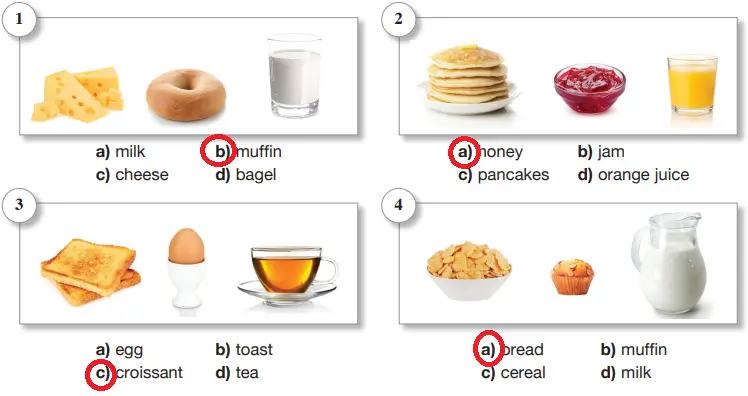 6. Sınıf İngilizce Ders Kitabı 33-34-35-36-37-38-39-40. Sayfa Cevapları ÖZGÜN Yayıncılık 6. Sınıf İngilizce Ders Kitabı Sayfa 36 Cevapları ÖZGÜN Yayıncılık