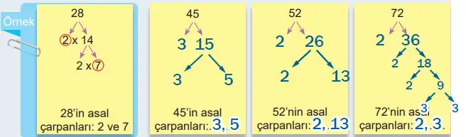 6. Sınıf Matematik Ders Kitabı Sayfa 43 Cevapları MEB Yayınları