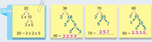 6. Sınıf Matematik Ders Kitabı Sayfa 44 Cevapları MEB Yayınları
