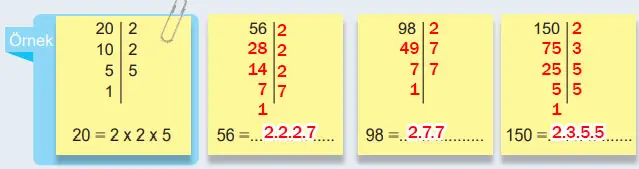 6. Sınıf Matematik Ders Kitabı Sayfa 44 Cevapları MEB Yayınları