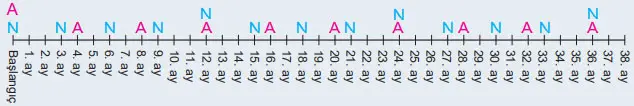 6. Sınıf Matematik Ders Kitabı 49-50-51-52-53-54-55-56. Sayfa Cevapları 1. KİTAP 6. Sınıf Matematik Ders Kitabı Sayfa 49 Cevapları MEB Yayınları