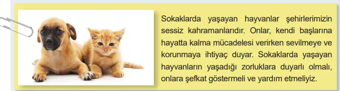 6. Sınıf Matematik Ders Kitabı 49-50-51-52-53-54-55-56. Sayfa Cevapları 1. KİTAP 6. Sınıf Matematik Ders Kitabı Sayfa 52 Cevapları MEB Yayınları