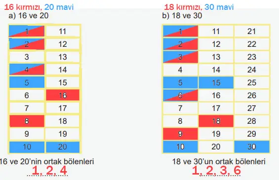 6. Sınıf Matematik Ders Kitabı 49-50-51-52-53-54-55-56. Sayfa Cevapları 1. KİTAP 6. Sınıf Matematik Ders Kitabı Sayfa 53 Cevapları MEB Yayınları