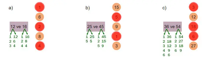 6. Sınıf Matematik Ders Kitabı 49-50-51-52-53-54-55-56. Sayfa Cevapları 1. KİTAP 6. Sınıf Matematik Ders Kitabı Sayfa 56 Cevapları MEB Yayınları