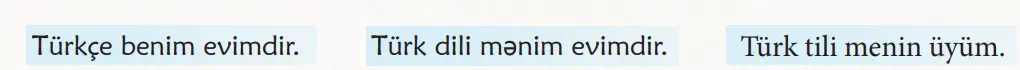 6. Sınıf Türkçe Ders Kitabı Sayfa 42 Cevapları MEB Yayınları