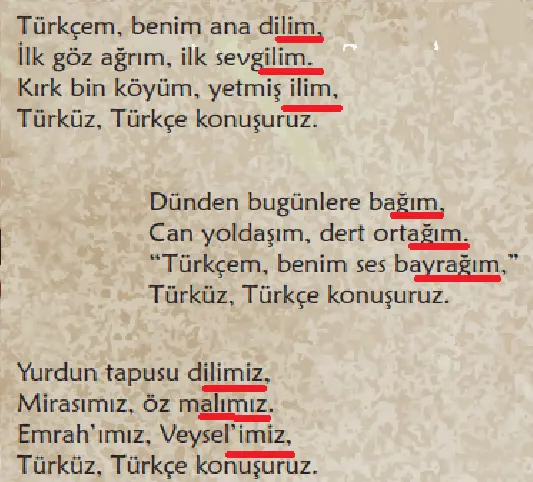 6. Sınıf Türkçe Ders Kitabı Sayfa 44 Cevapları MEB Yayınları