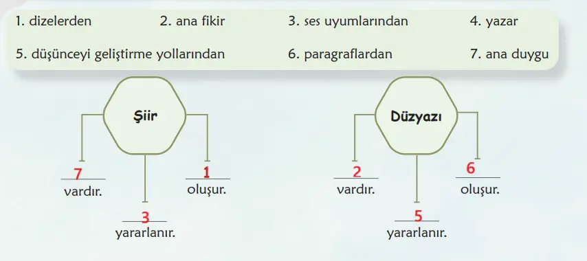 6. Sınıf Türkçe Ders Kitabı Sayfa 81 Cevapları MEB Yayınları
