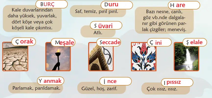6. Sınıf Türkçe Ders Kitabı Sayfa 81 Cevapları MEB Yayınları