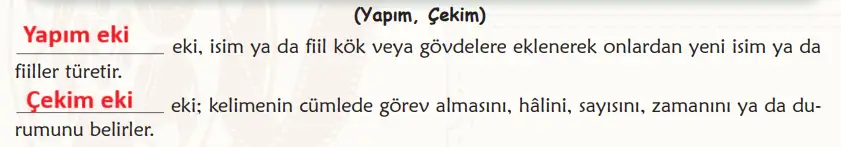 6. Sınıf Türkçe Ders Kitabı Sayfa 95 Cevapları MEB Yayınları