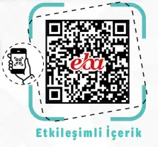 6.Sınıf Türkçe Ders Kitabı Sayfa 45 Cevapları