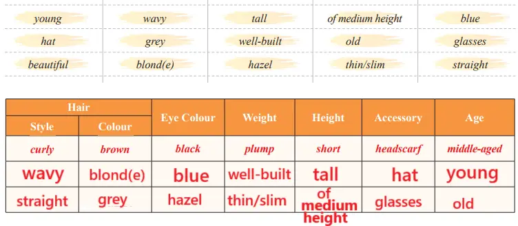 7. Sınıf İngilizce Ders Kitabı Sayfa 13 Cevapları SDR İpekyolu Yayıncılık