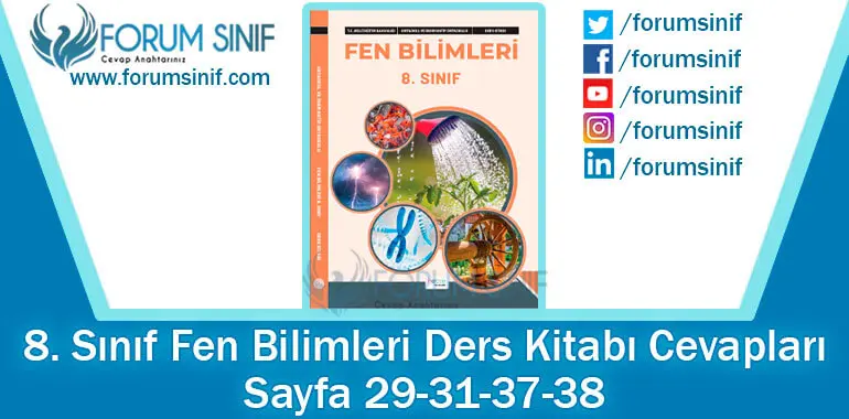 8. Sınıf Fen Bilimleri Ders Kitabı Sayfa 29-31-37-38. Cevapları Hecce Yayıncılık