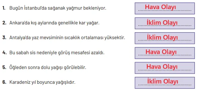 8. Sınıf Fen Bilimleri Ders Kitabı Sayfa 37 Cevapları Hecce Yayıncılık
