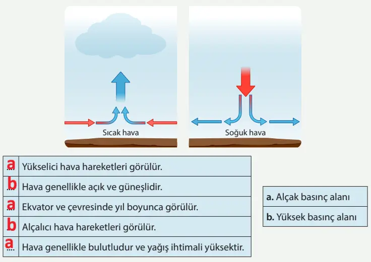 8. Sınıf Fen Bilimleri Ders Kitabı Sayfa 37 Cevapları MEB Yayınları