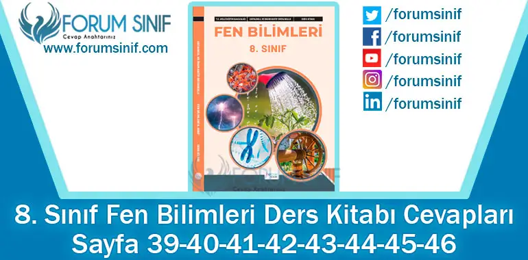 8. Sınıf Fen Bilimleri Ders Kitabı Sayfa 39-40-41-42-43-44-45-46. Cevapları Hecce Yayıncılık