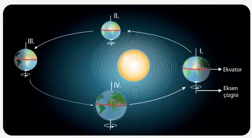 8. Sınıf Fen Bilimleri Ders Kitabı Sayfa 39 Cevapları MEB Yayınları