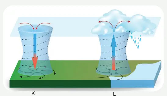 8. Sınıf Fen Bilimleri Ders Kitabı Sayfa 40 Cevapları MEB Yayınları