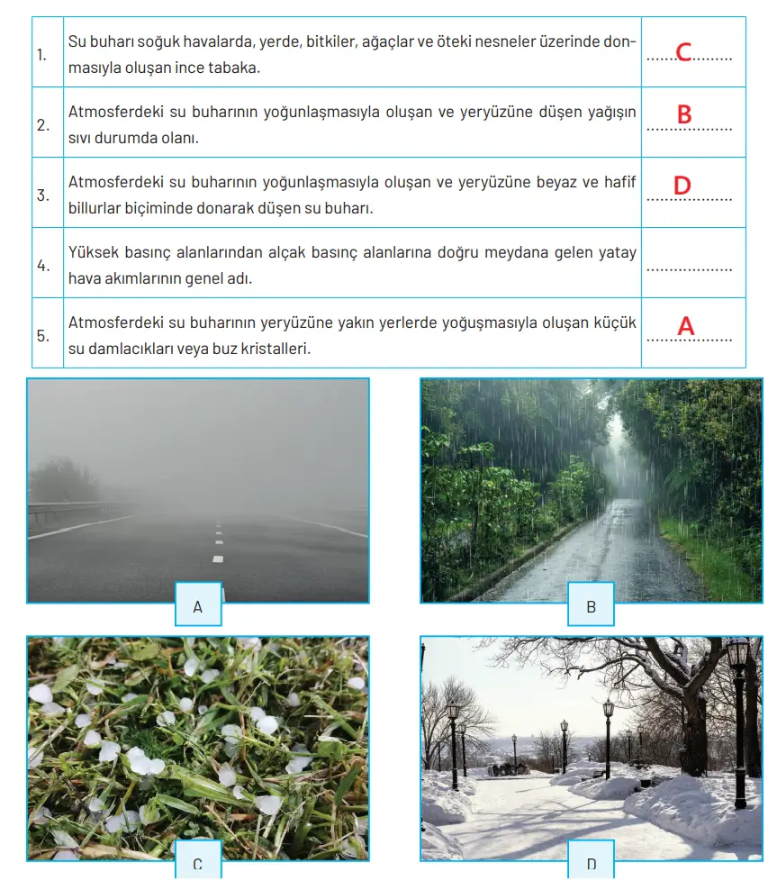 8. Sınıf Fen Bilimleri Ders Kitabı Sayfa 46 Cevapları Hecce Yayıncılık