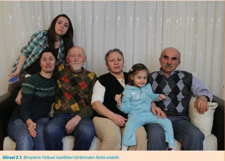 8. Sınıf Fen Bilimleri Ders Kitabı Sayfa 50-56-58-60. Cevapları Hecce Yayıncılık 8. Sınıf Fen Bilimleri Ders Kitabı Sayfa 50 Cevapları Hecce Yayıncılık