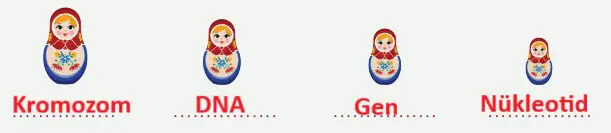 8. Sınıf Fen Bilimleri Ders Kitabı Sayfa 44-48-49-51. Cevapları MEB Yayınları 8. Sınıf Fen Bilimleri Ders Kitabı Sayfa 51 Cevapları MEB Yayınları