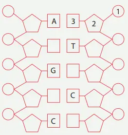 8. Sınıf Fen Bilimleri Ders Kitabı Sayfa 44-48-49-51. Cevapları MEB Yayınları 8. Sınıf Fen Bilimleri Ders Kitabı Sayfa 51 Cevapları MEB Yayınları1