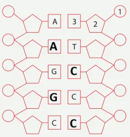 8. Sınıf Fen Bilimleri Ders Kitabı Sayfa 44-48-49-51. Cevapları MEB Yayınları 8. Sınıf Fen Bilimleri Ders Kitabı Sayfa 51 Cevapları MEB Yayınları2