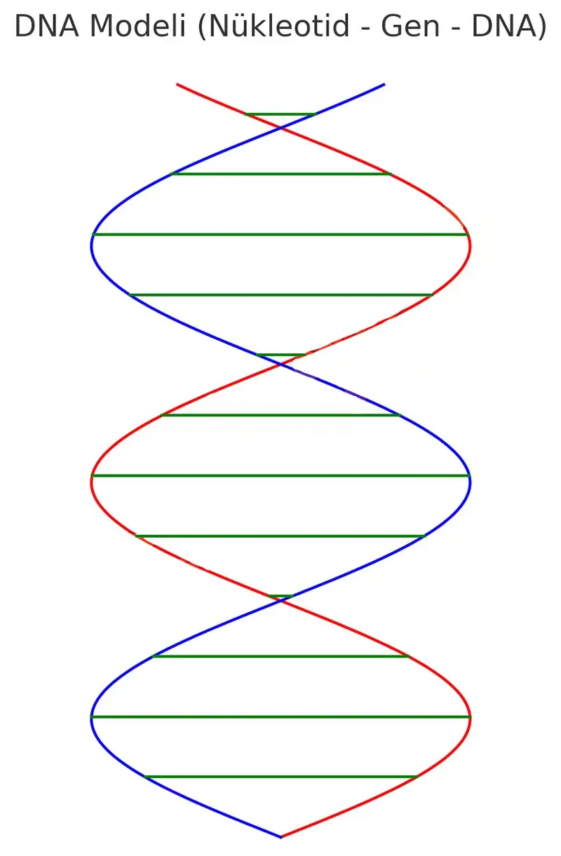8. Sınıf Fen Bilimleri Ders Kitabı Sayfa 50-56-58-60. Cevapları Hecce Yayıncılık 8. Sınıf Fen Bilimleri Ders Kitabı Sayfa 60 Cevapları Hecce Yayıncılık