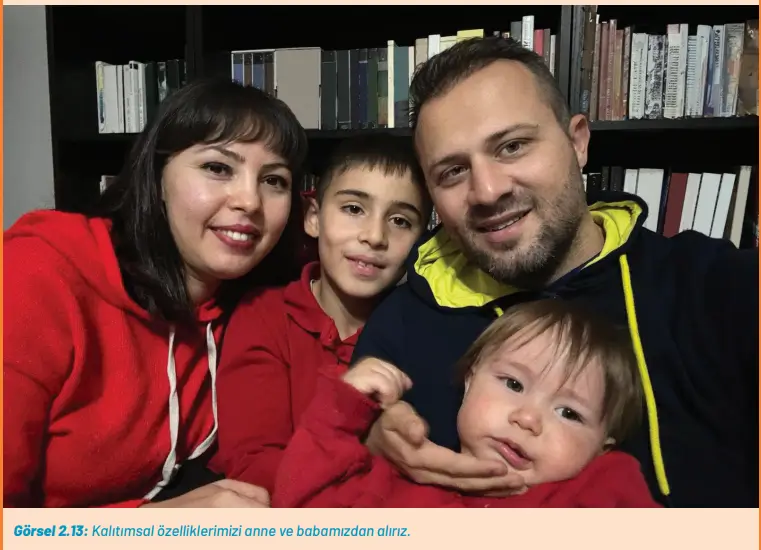 8. Sınıf Fen Bilimleri Ders Kitabı Sayfa 61 Cevapları Hecce Yayıncılık