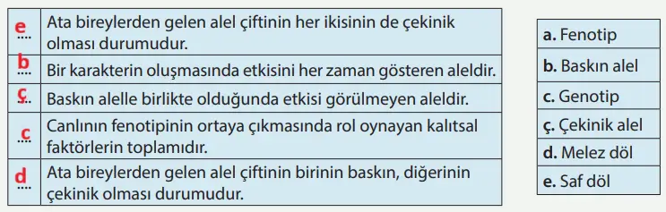 8. Sınıf Fen Bilimleri Ders Kitabı Sayfa 61 Cevapları MEB Yayınları