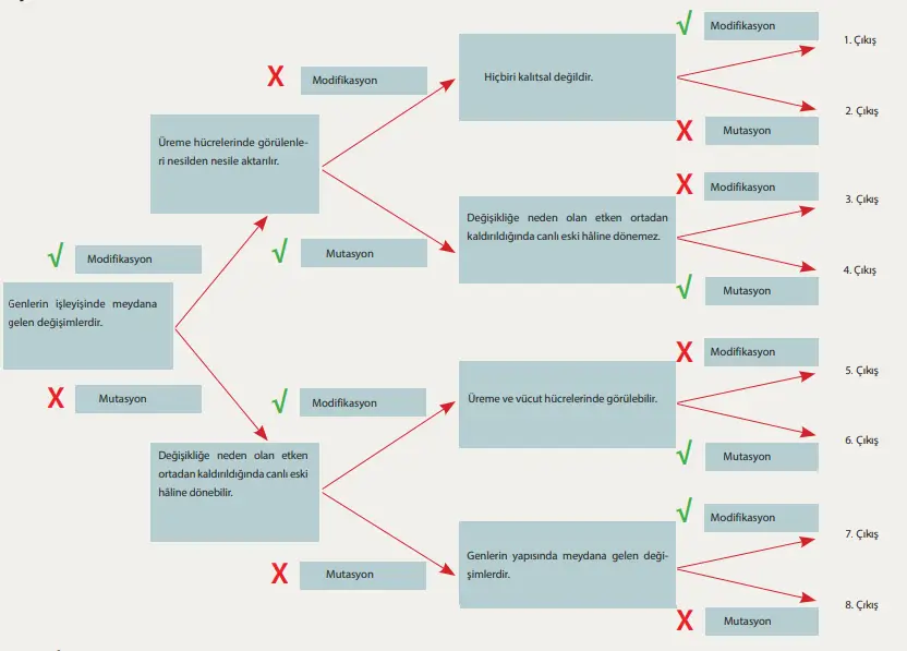 8. Sınıf Fen Bilimleri Ders Kitabı Sayfa 67 Cevapları MEB Yayınları