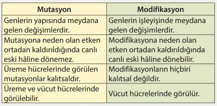 8. Sınıf Fen Bilimleri Ders Kitabı Sayfa 67 Cevapları MEB Yayınları1