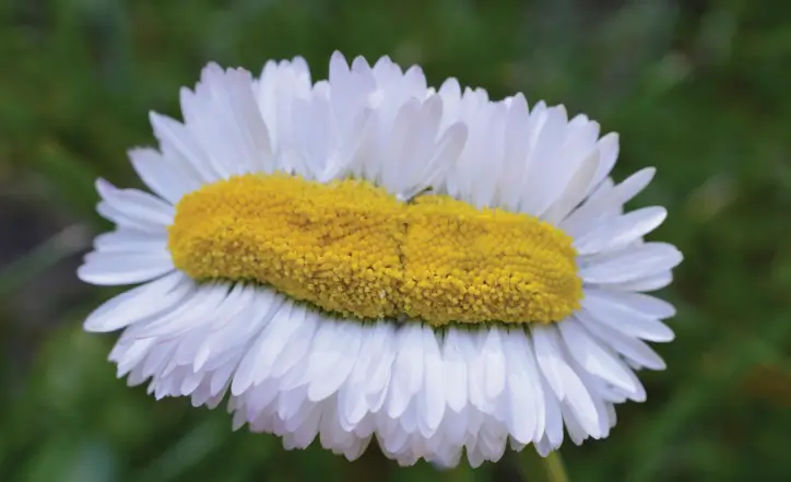 8. Sınıf Fen Bilimleri Ders Kitabı Sayfa 73 Cevapları Hecce Yayıncılık