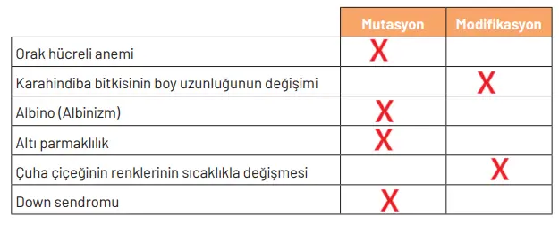 8. Sınıf Fen Bilimleri Ders Kitabı Sayfa 76 Cevapları Hecce Yayıncılık