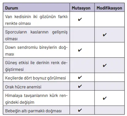 8. Sınıf Fen Bilimleri Ders Kitabı Sayfa 77 Cevapları Hecce Yayıncılık