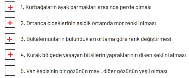 8. Sınıf Fen Bilimleri Ders Kitabı Sayfa 78-80-81. Cevapları Hecce Yayıncılık 8. Sınıf Fen Bilimleri Ders Kitabı Sayfa 81 Cevapları Hecce Yayıncılık