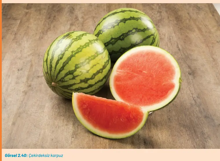 8. Sınıf Fen Bilimleri Ders Kitabı Sayfa 82 Cevapları Hecce Yayıncılık