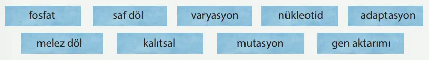 8. Sınıf Fen Bilimleri Ders Kitabı Sayfa 82 Cevapları MEB Yayınları1