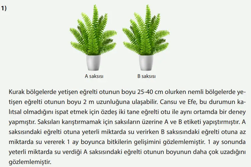 8. Sınıf Fen Bilimleri Ders Kitabı Sayfa 83 Cevapları MEB Yayınları