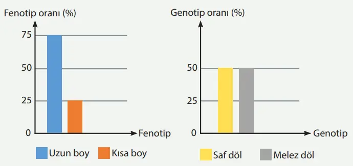 8. Sınıf Fen Bilimleri Ders Kitabı Sayfa 84 Cevapları MEB Yayınları