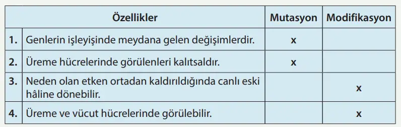 8. Sınıf Fen Bilimleri Ders Kitabı Sayfa 84 Cevapları MEB Yayınları1