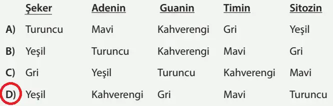 8. Sınıf Fen Bilimleri Ders Kitabı Sayfa 87 Cevapları MEB Yayınları1