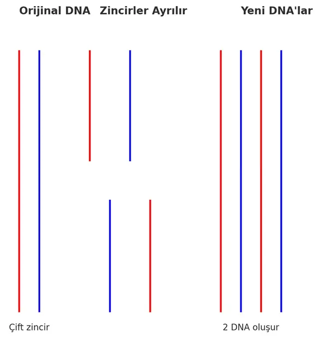 8. Sınıf Fen Bilimleri Ders Kitabı Sayfa 91 Cevapları Hecce Yayıncılık