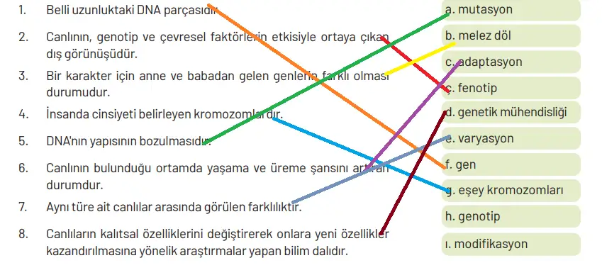 8. Sınıf Fen Bilimleri Ders Kitabı Sayfa 92 Cevapları Hecce Yayıncılık