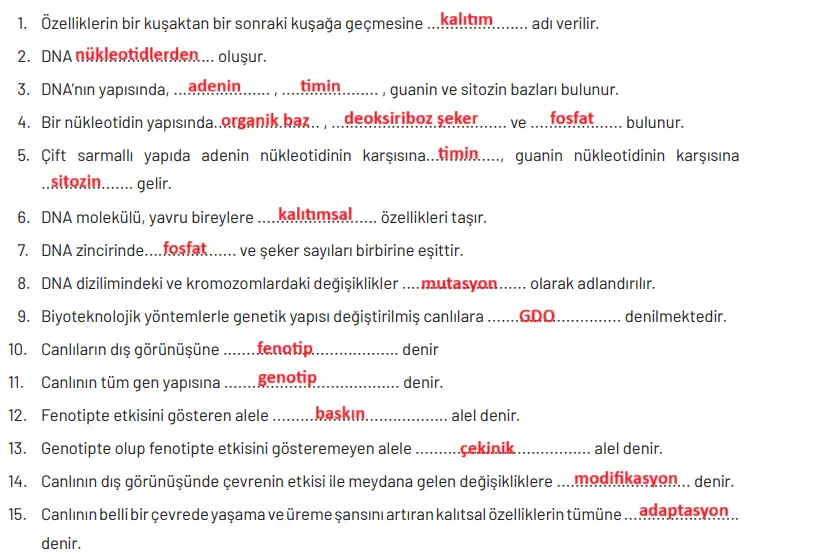 8. Sınıf Fen Bilimleri Ders Kitabı Sayfa 92 Cevapları Hecce Yayıncılık