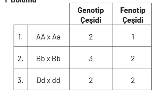 8. Sınıf Fen Bilimleri Ders Kitabı Sayfa 94 Cevapları Hecce Yayıncılık