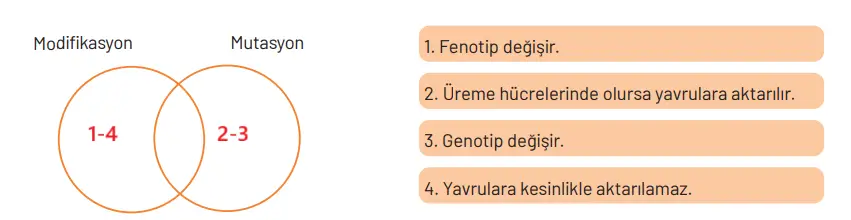 8. Sınıf Fen Bilimleri Ders Kitabı Sayfa 94 Cevapları Hecce Yayıncılık
